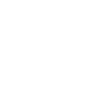 Attendees